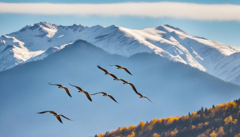 ab wann fliegen vogel in den suden