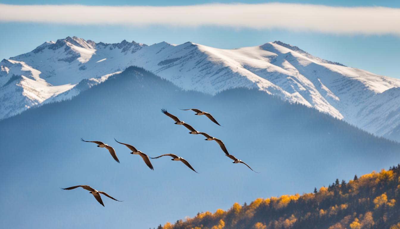 ab wann fliegen vogel in den suden