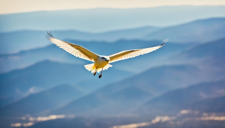 ich will fliegen wie ein vogel gegen den wind