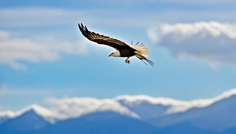 lass uns fliegen wie ein freier vogel