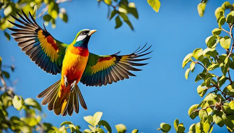 liebe ist wie ein wilder vogel