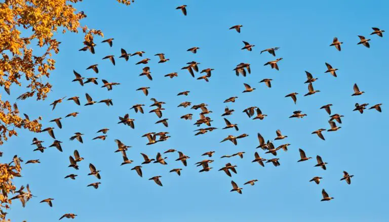vogel uberwintern in deutschland