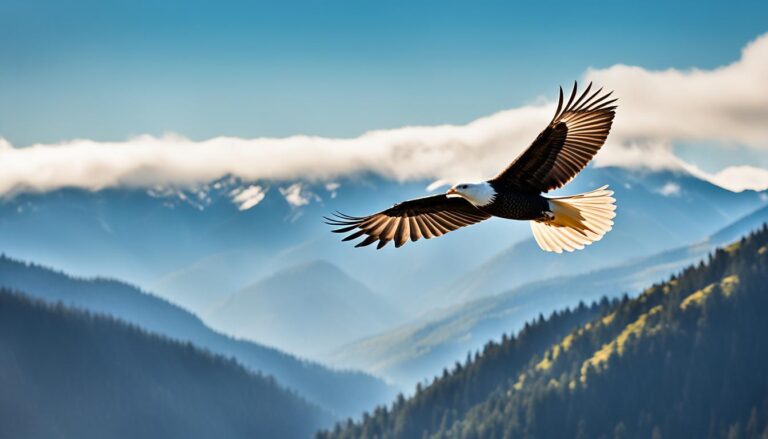 weltzweitgroster vogel