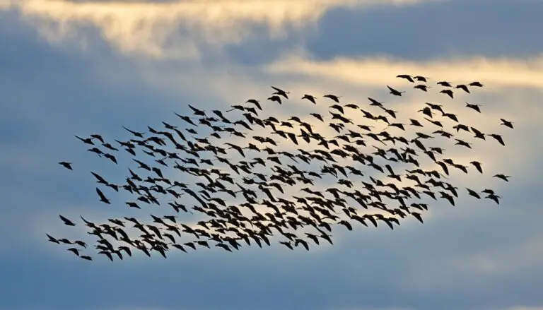 wie nennt man vögel, die im winter in den süden fliegen