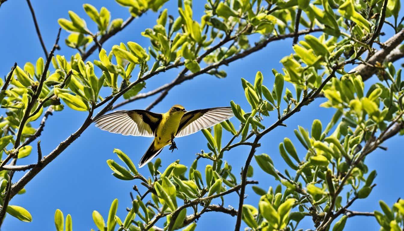 wie sieht eine drossel aus