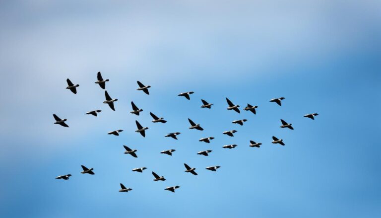 wie viele vögel sterben durch flugzeuge